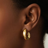 Aria Curve Hoops