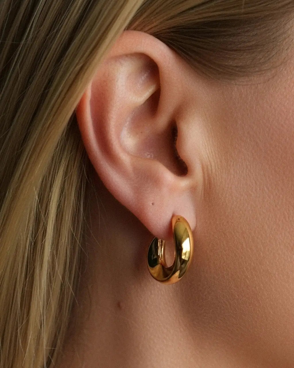 Aria Curve Hoops