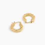 Aurea Texture Hoops