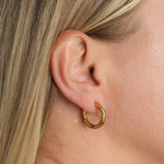 Aurea Hinge Hoops