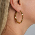 Twisted Hoop Earrings