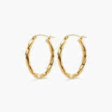 Twisted Hoop Earrings