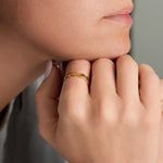 Arlo Link Ring