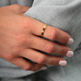 Arlo Link Ring