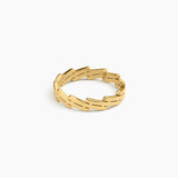 Arlo Link Ring