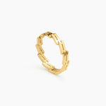Arlo Link Ring
