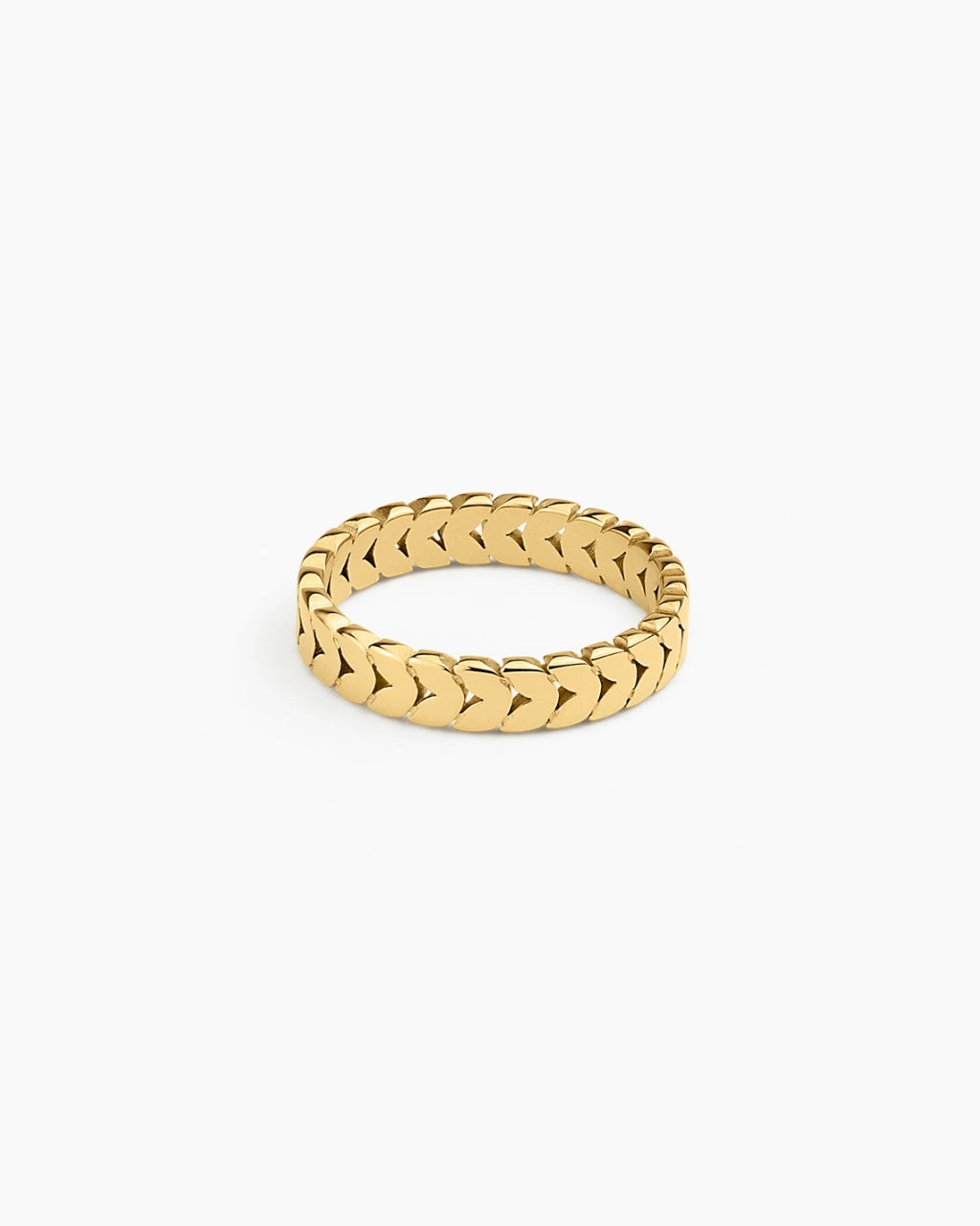 Eterna Scale Band