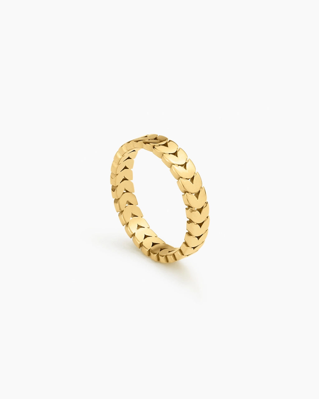 Eterna Scale Band