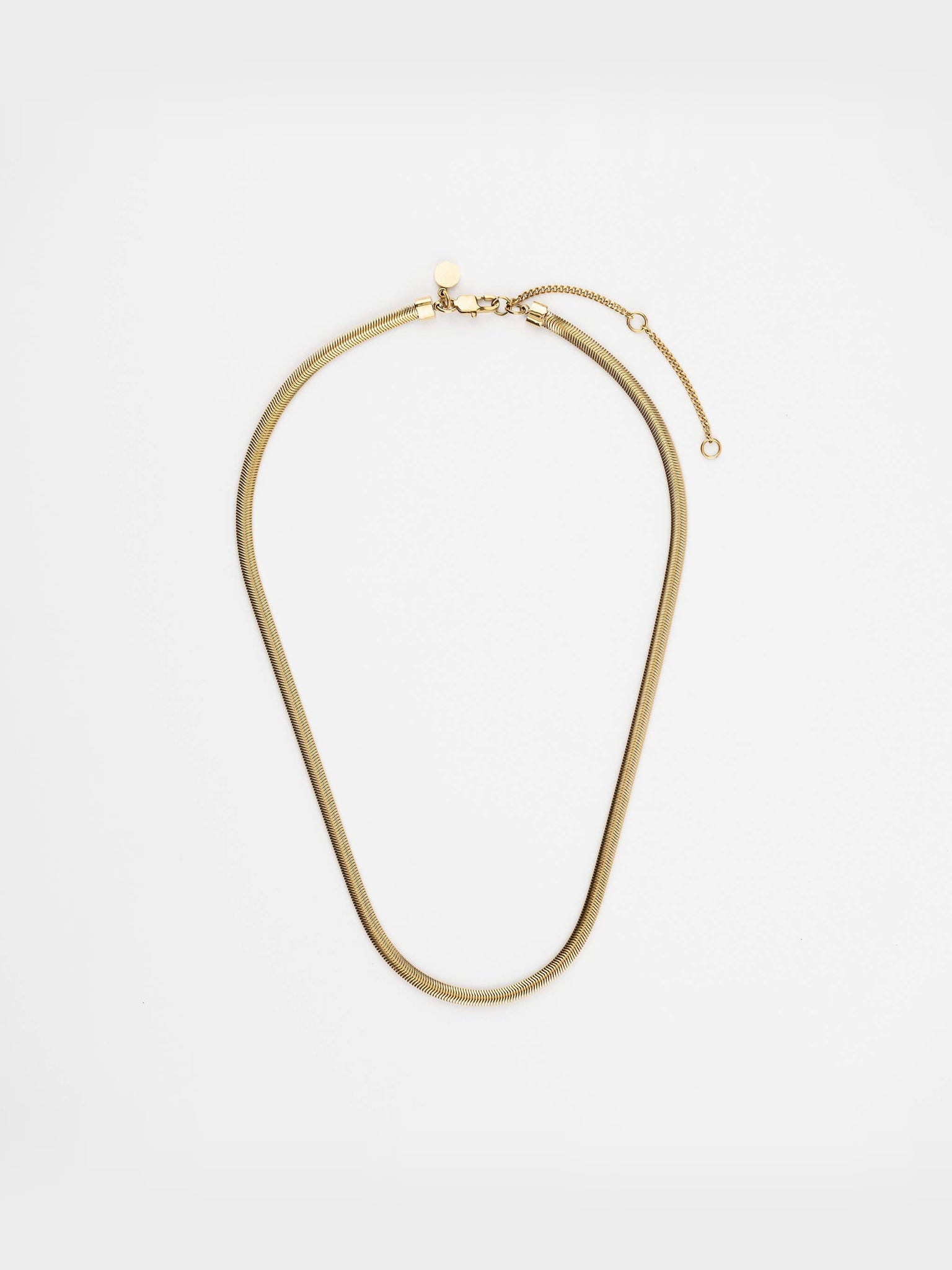 Everlasting Chain Necklace – full necklace with clasp and extender, gold, on a light grey background