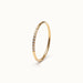 Halo Band Ring 8-stone – 45° view, gold, on ivory background